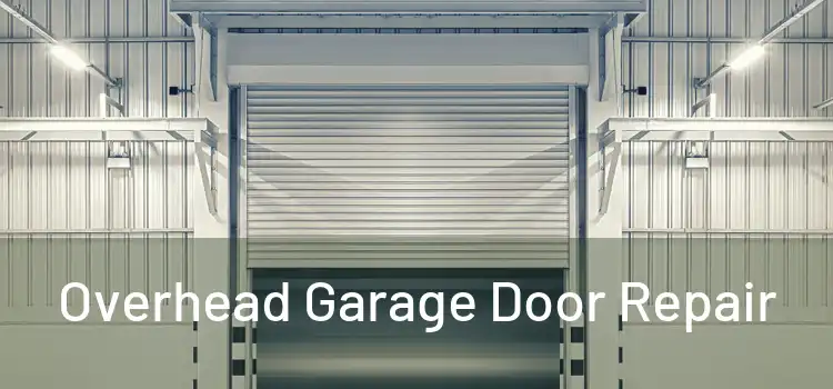  Overhead Garage Door Repair 